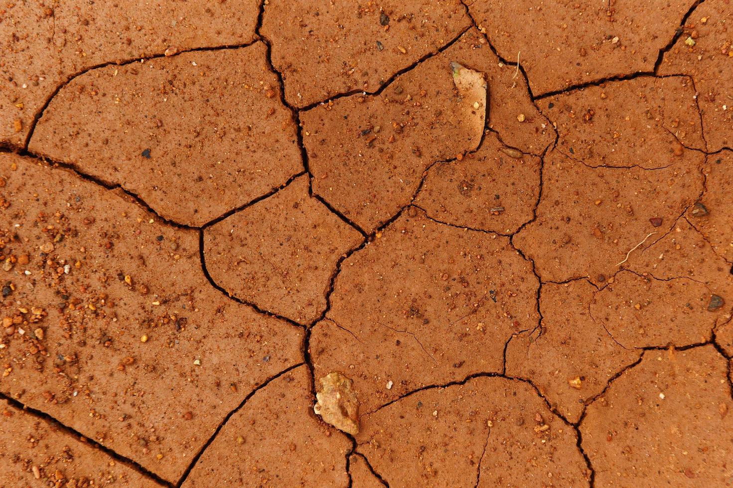 risse des getrockneten bodens in der ariden zeit arider boden, rissige erdstruktur des bodens gebrochen und raue oberfläche rotschlammton foto