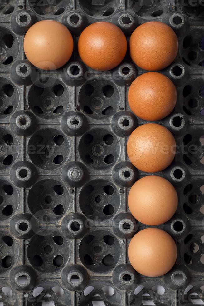 Nummer sieben der Eier von der Hühnerfarm in der Packung foto