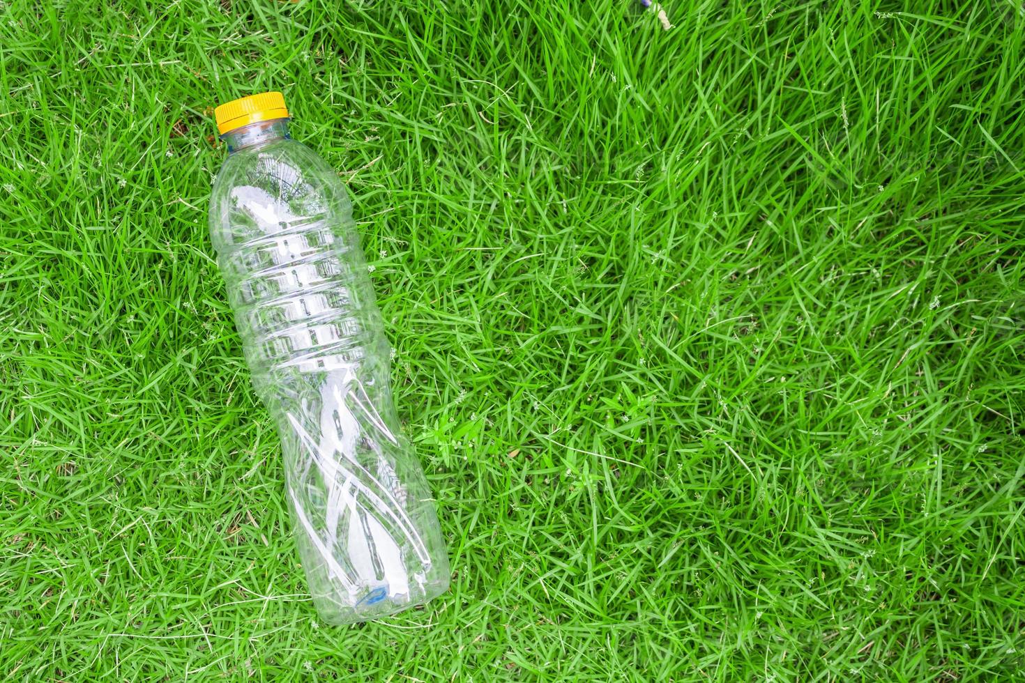 plastikflasche auf grünem grashintergrund recyceln und verschmutzungskonzept foto