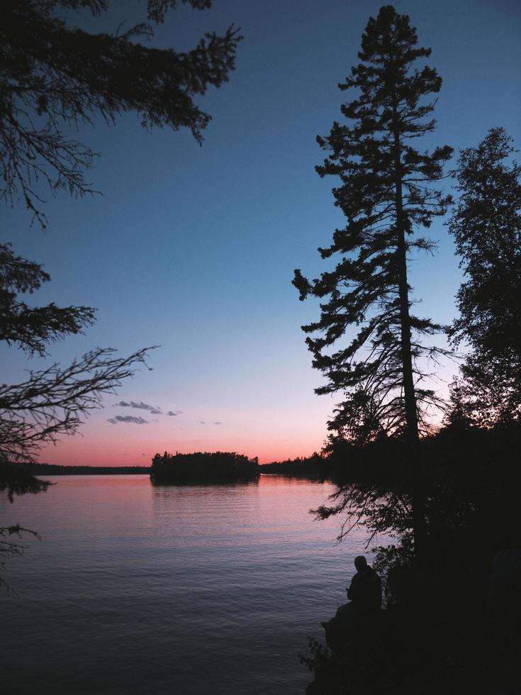 Silhouette von Bäumen neben Wasser foto