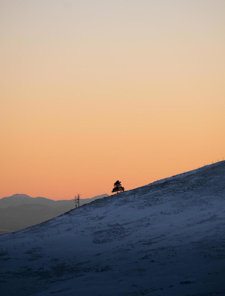 Silhouette der Bäume am Berghang foto