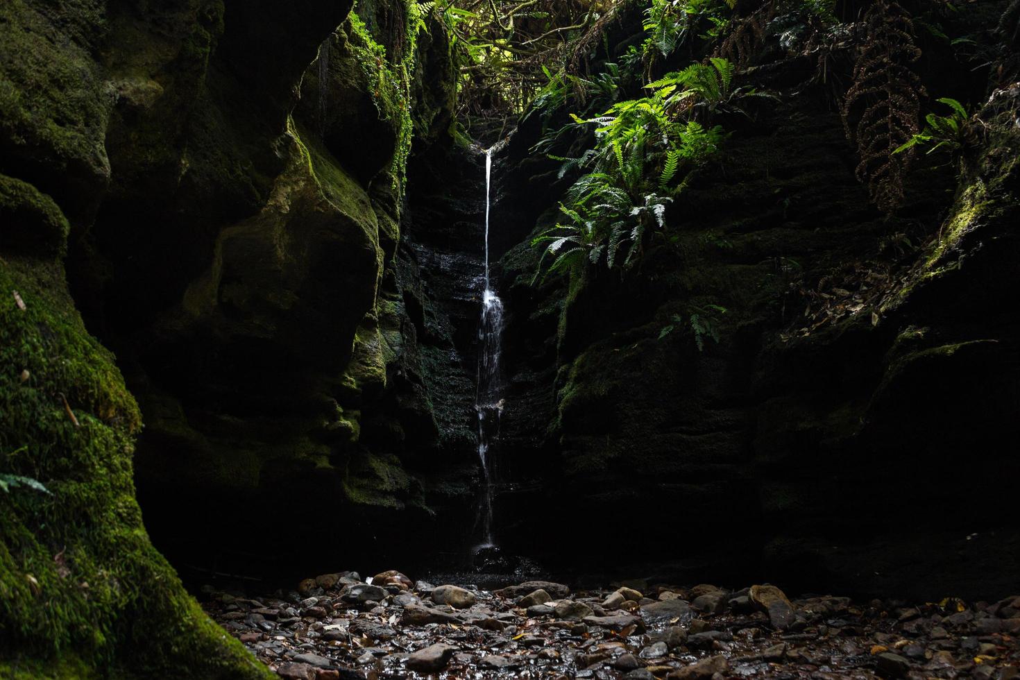 kleiner Wasserfall umgeben von grünem Moos foto