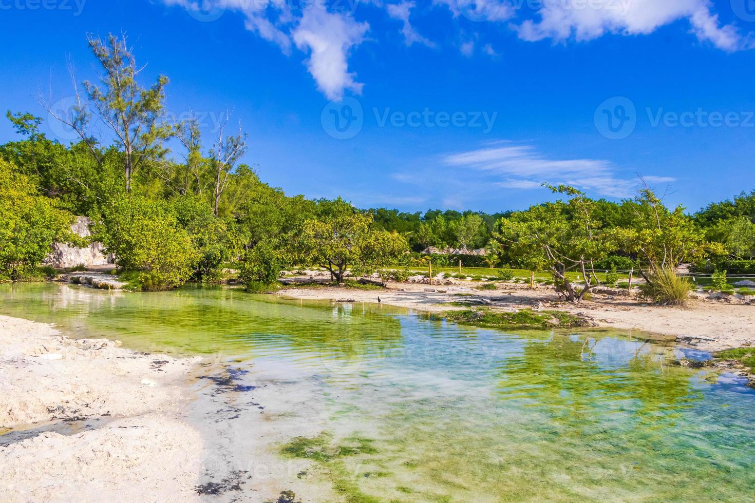 kleine schöne cenote höhle mit fluss türkisblauem wasser mexiko. foto