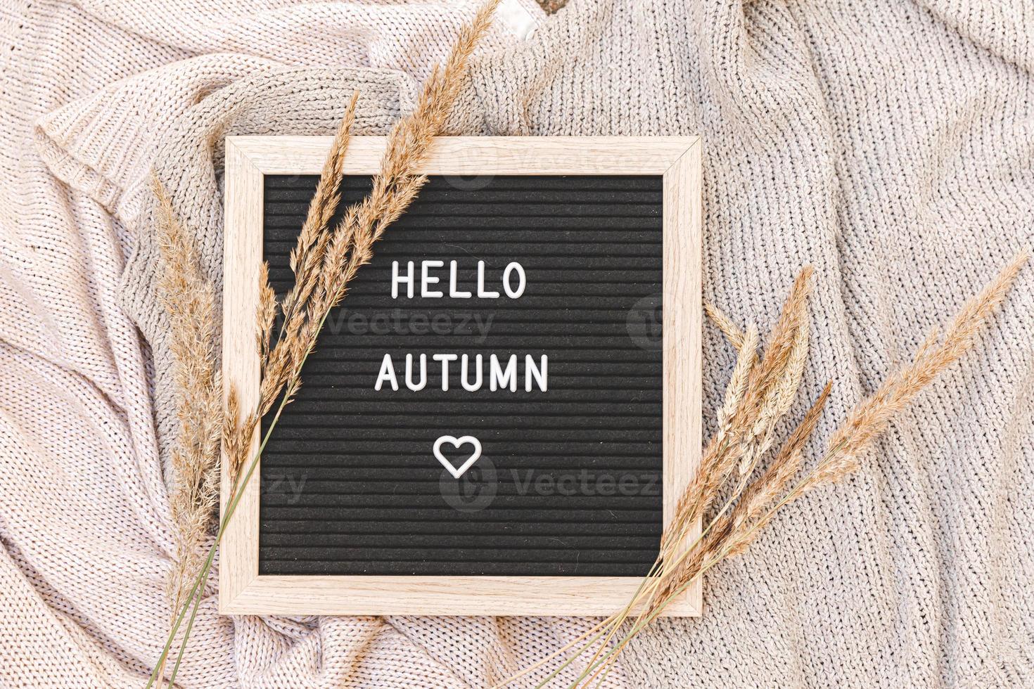 herbstlicher Hintergrund. schwarzes buchstabenbrett mit textphrase hallo herbst und getrocknetem gras, das auf weißem strickpullover liegt. Ansicht von oben, flach liegend. Thanksgiving-Banner. Hygge-Stimmungskonzept für kaltes Wetter foto