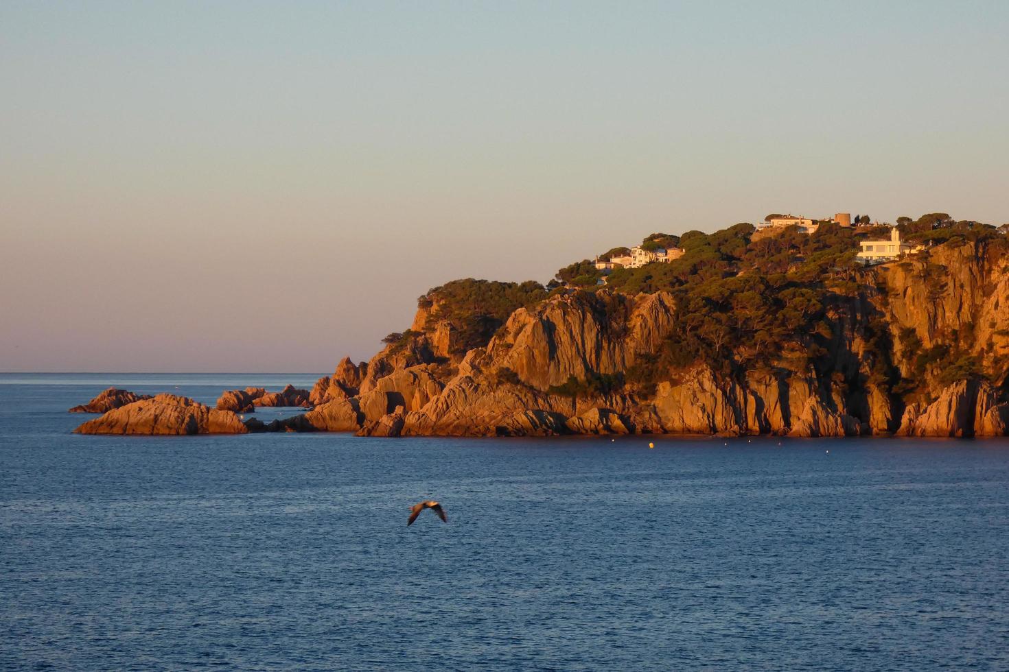 costa brava ein paradies an der katalanischen küste, spanien foto