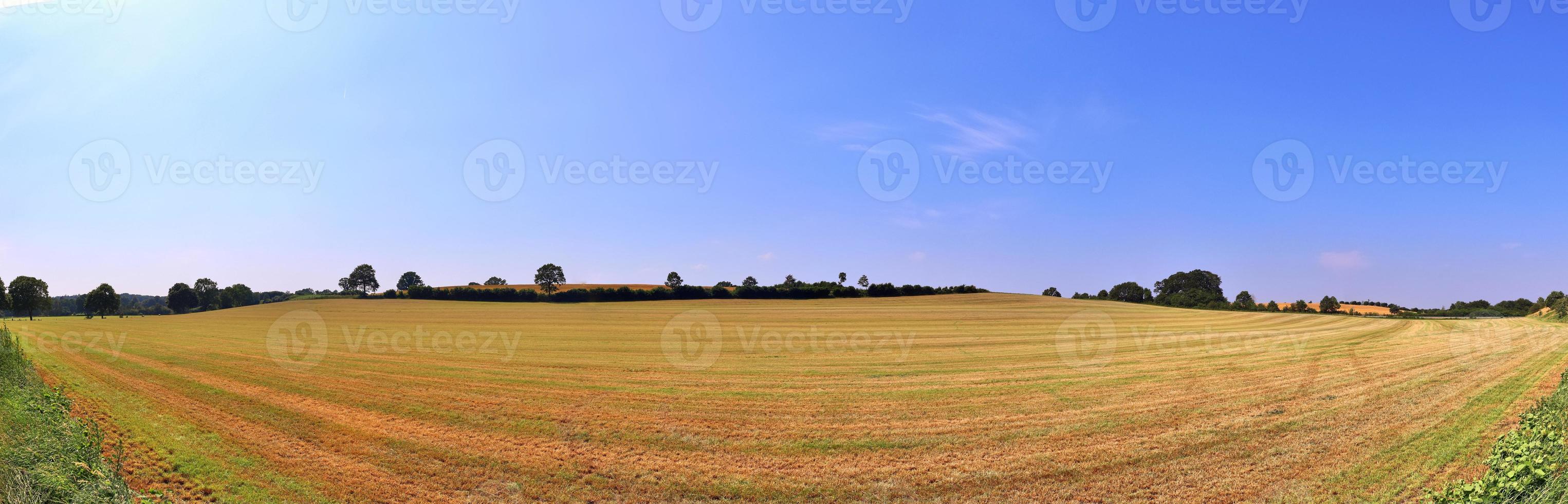 Schönes hochauflösendes Panorama einer nordeuropäischen Landschaft mit Feldern und grünem Gras foto