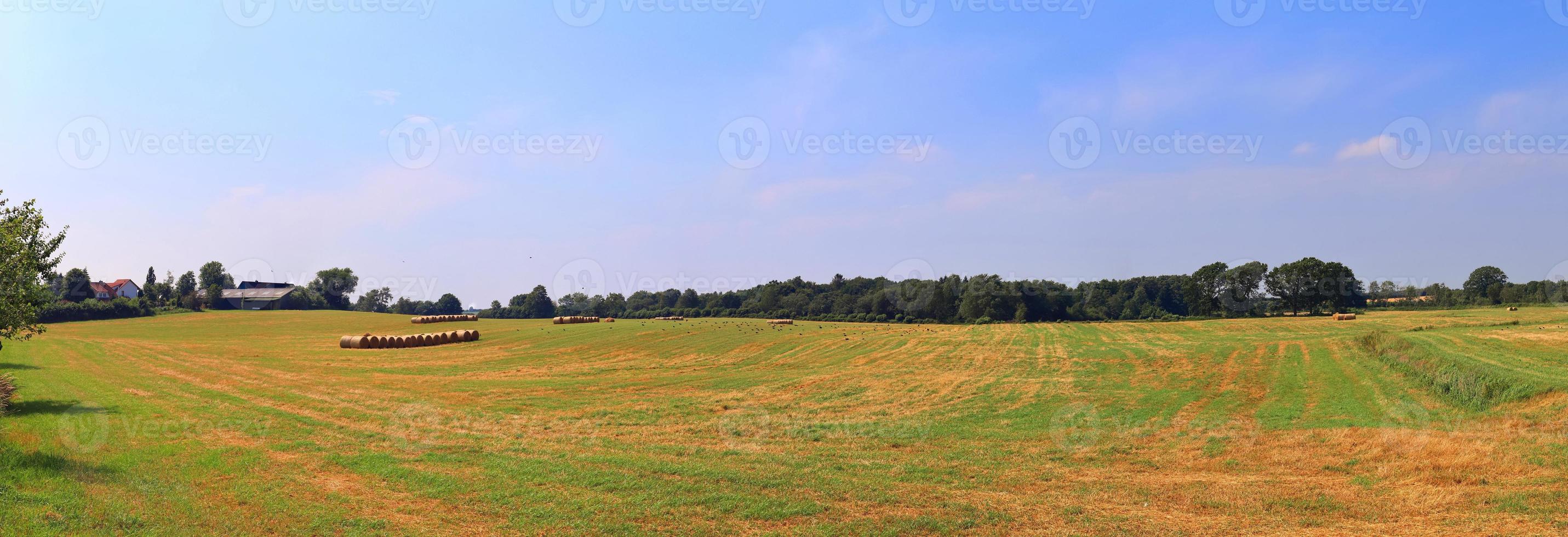 Schönes hochauflösendes Panorama einer nordeuropäischen Landschaft mit Feldern und grünem Gras foto