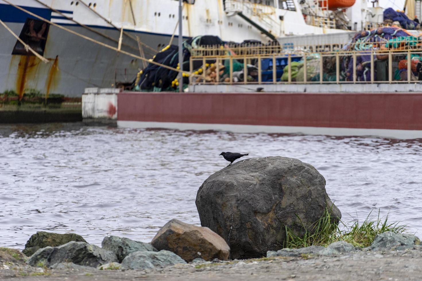 Meereslandschaft mit einer Krähe auf einem Stein im Hafen foto