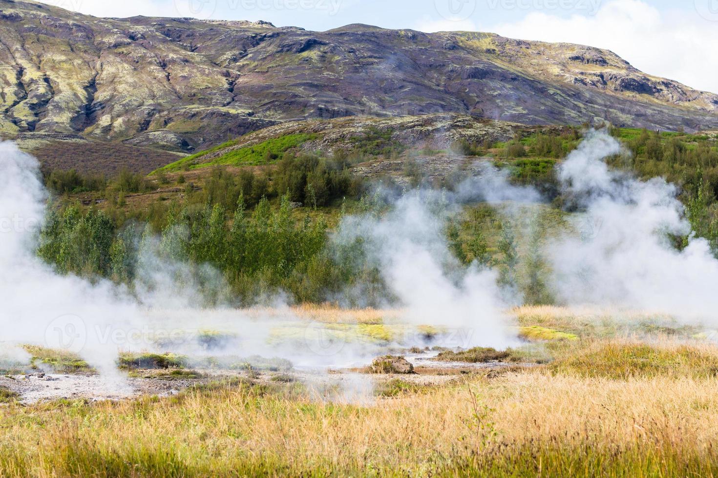 Blick auf das Haukadalur-Geysir-Tal im Herbst foto