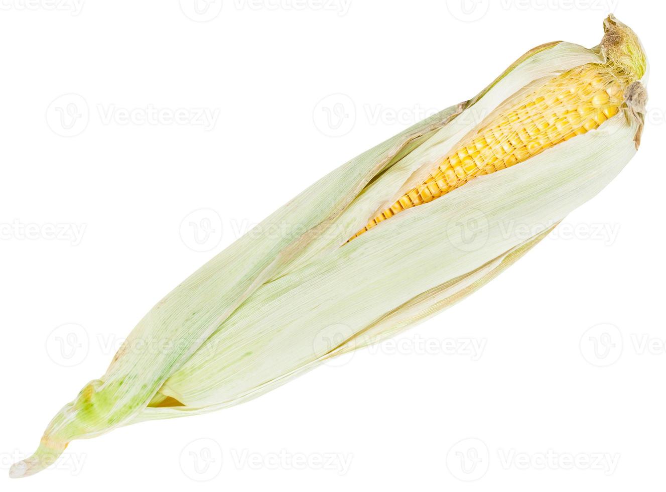 natürliche ähre von reifem mais isoliert auf weiß foto