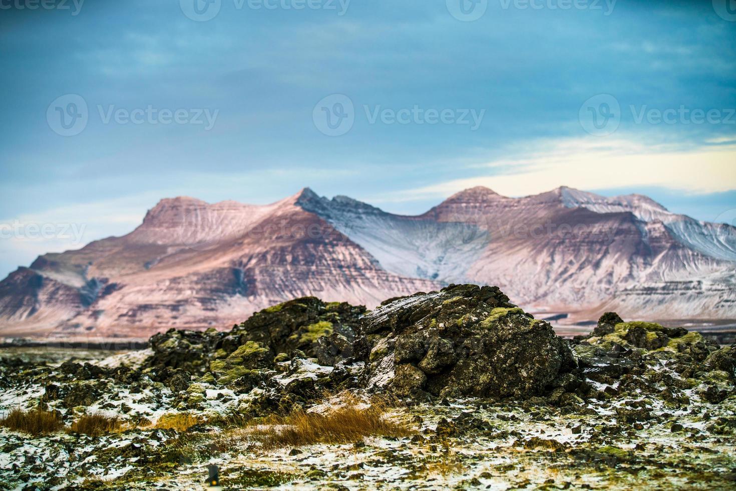 Bemoostes Lavafeld in Island foto