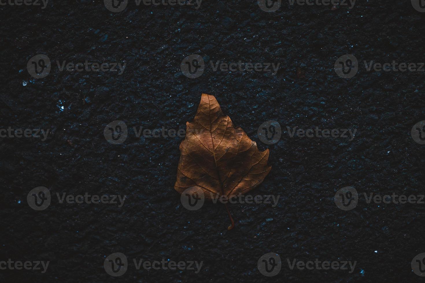 Herbstblatt allein auf der Straße foto