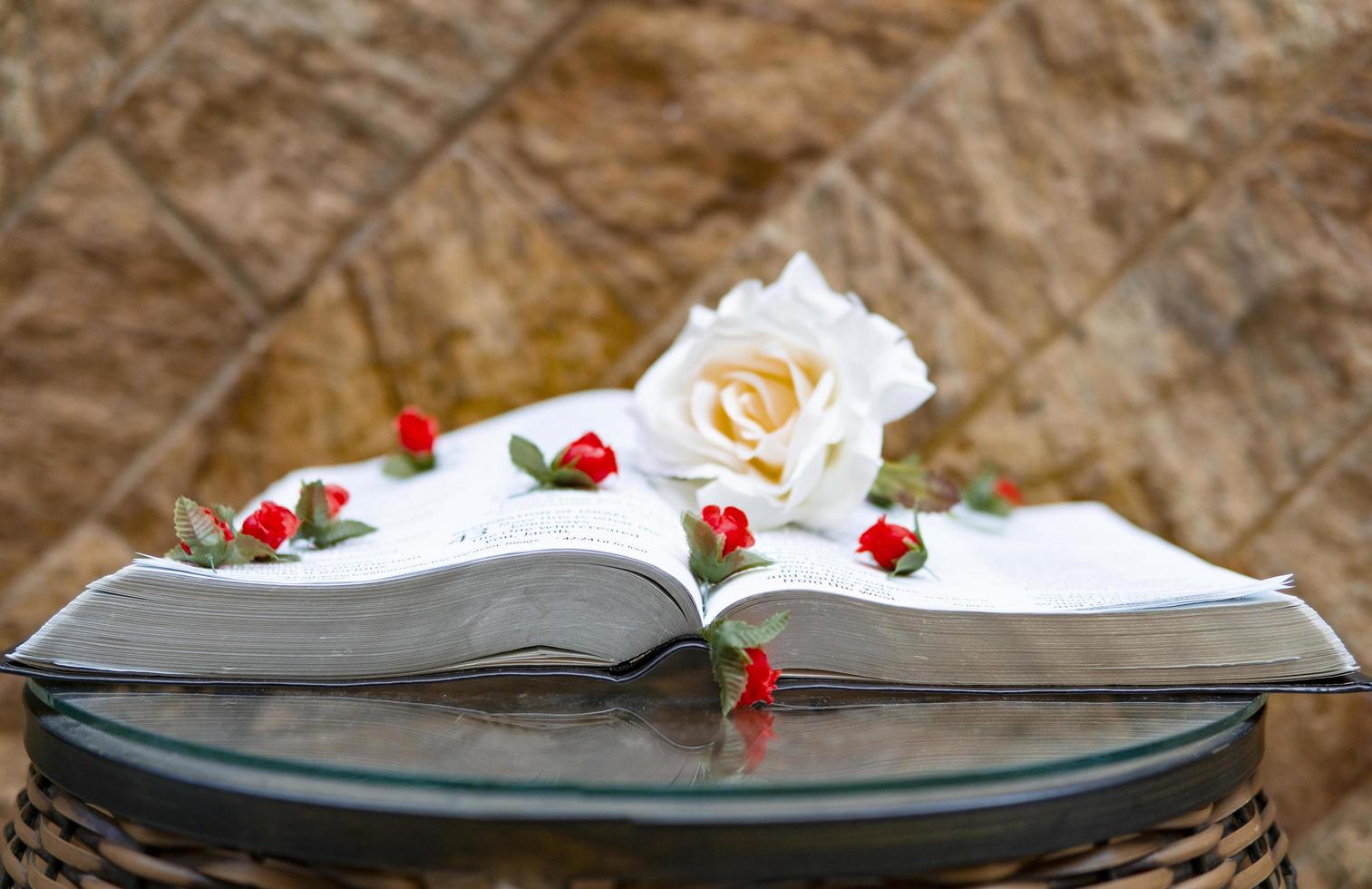 offenes Buch mit Blumen darauf foto