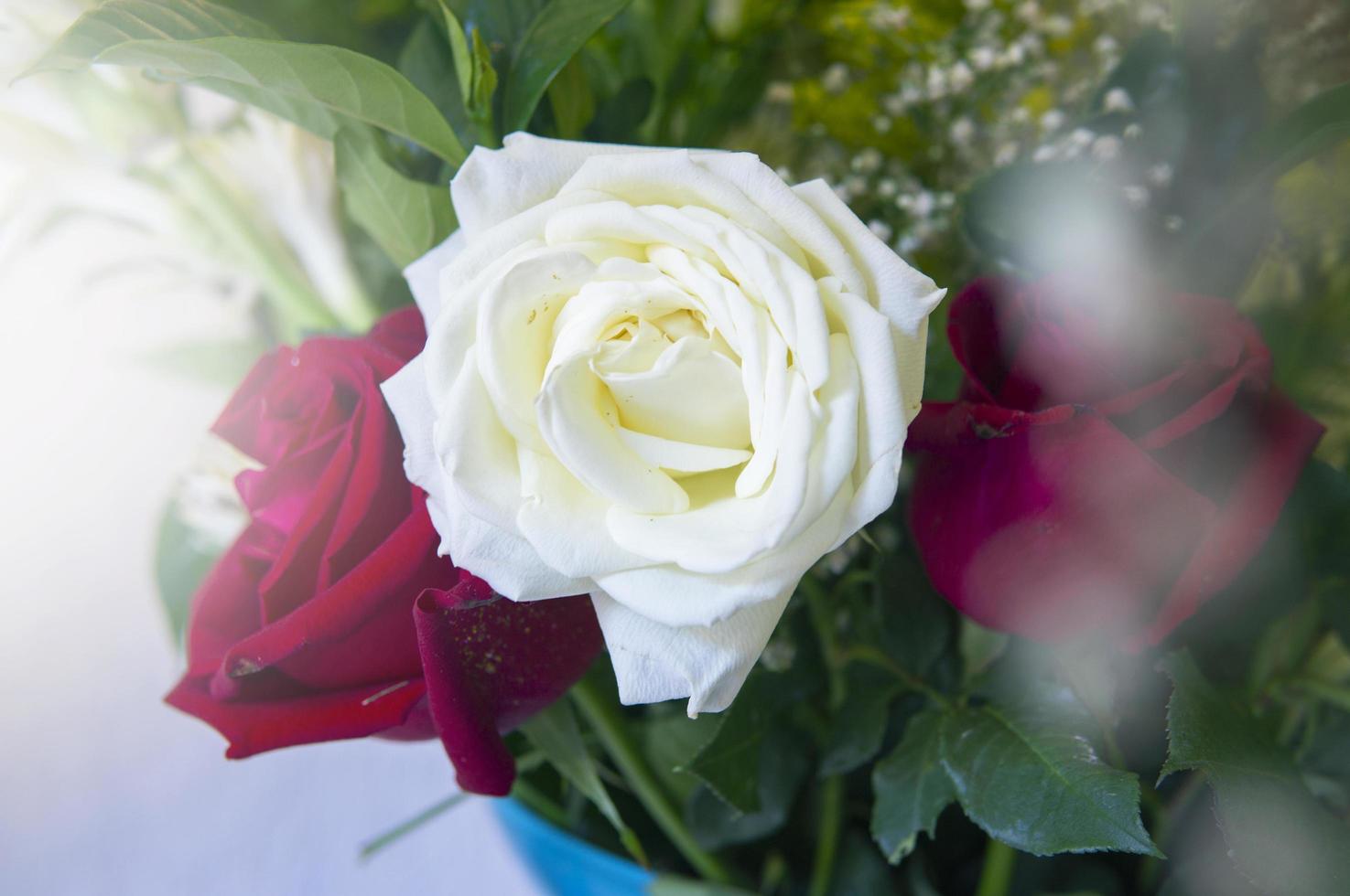 weißer und roter Rosenstrauß foto