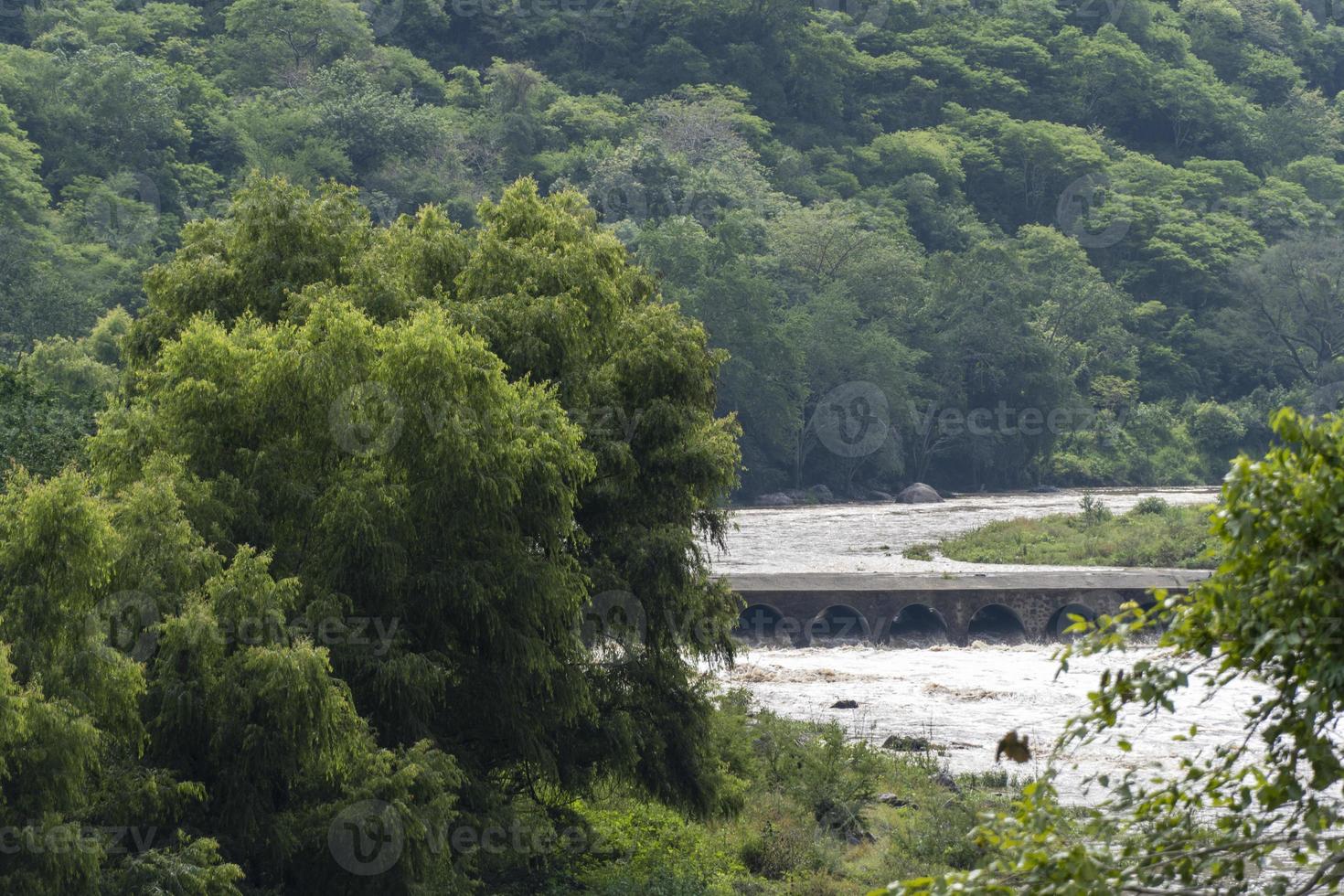 dreckiger fluss, gesehen durch die huentitan-schlucht in guadalajara, grüne vegetation, bäume, pflanzen und berge, mexiko foto