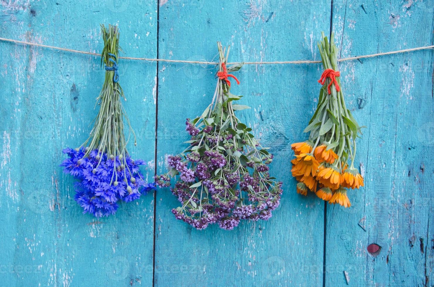 drei medizinische Kräuterblumen bündeln auf Holzwand foto