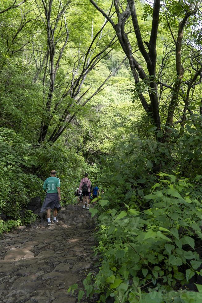 Zwei junge Männer und Freunde steigen in die Schlucht, Vegetation und Bäume, Huentitan-Schlucht, Guadalajara, Mexiko foto