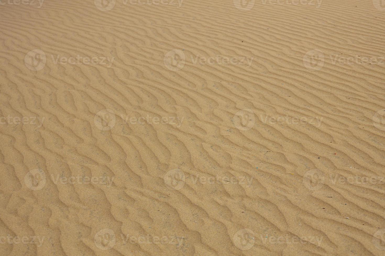 Dünen von Gran Canaria - Sandwüste von Maspalomas, Spanien foto