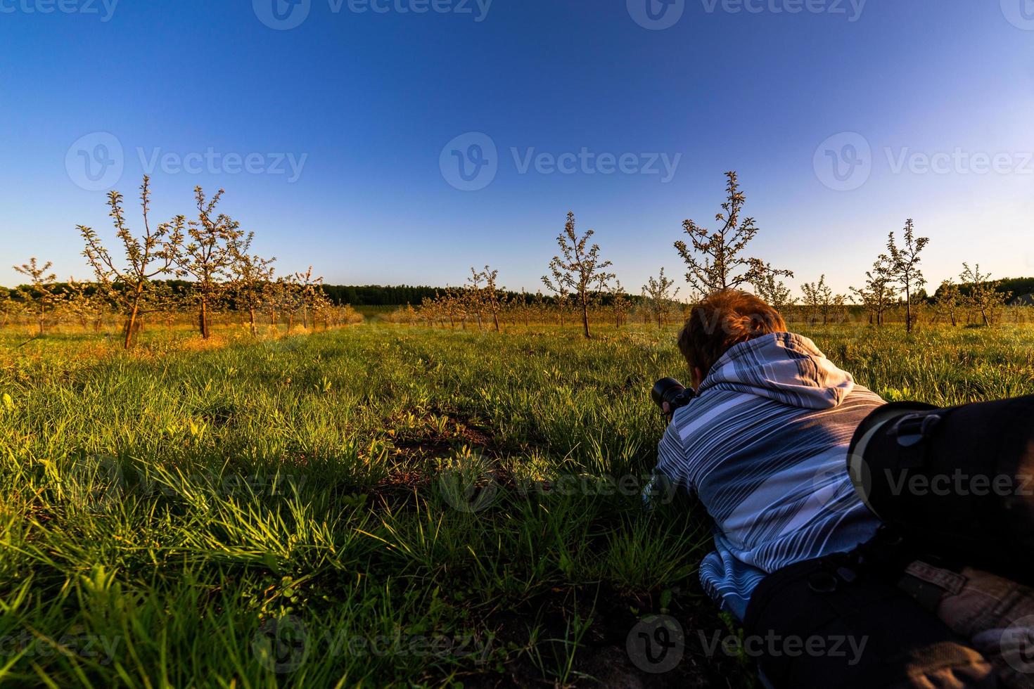 Professioneller Fotograf, der im sommerlichen Apfelgarten vom Gras schießt foto