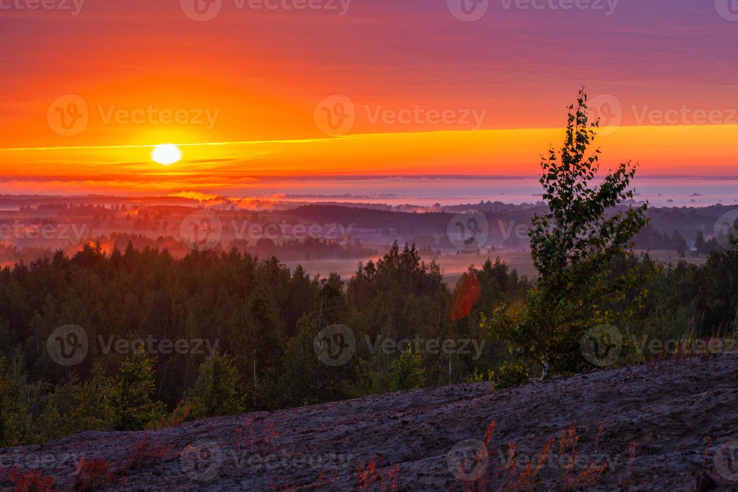 Nebeliges Flachland am Flussufer bei goldenem Sommersonnenaufgang mit einsamem Baum am Hang im Vordergrund foto