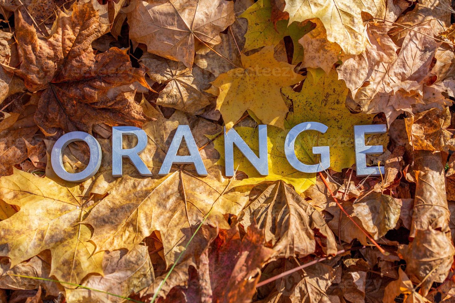 Das Wort Orange legte sich mit Metallbuchstaben über Herbstlaub - Nahaufnahme mit selektivem Fokus foto