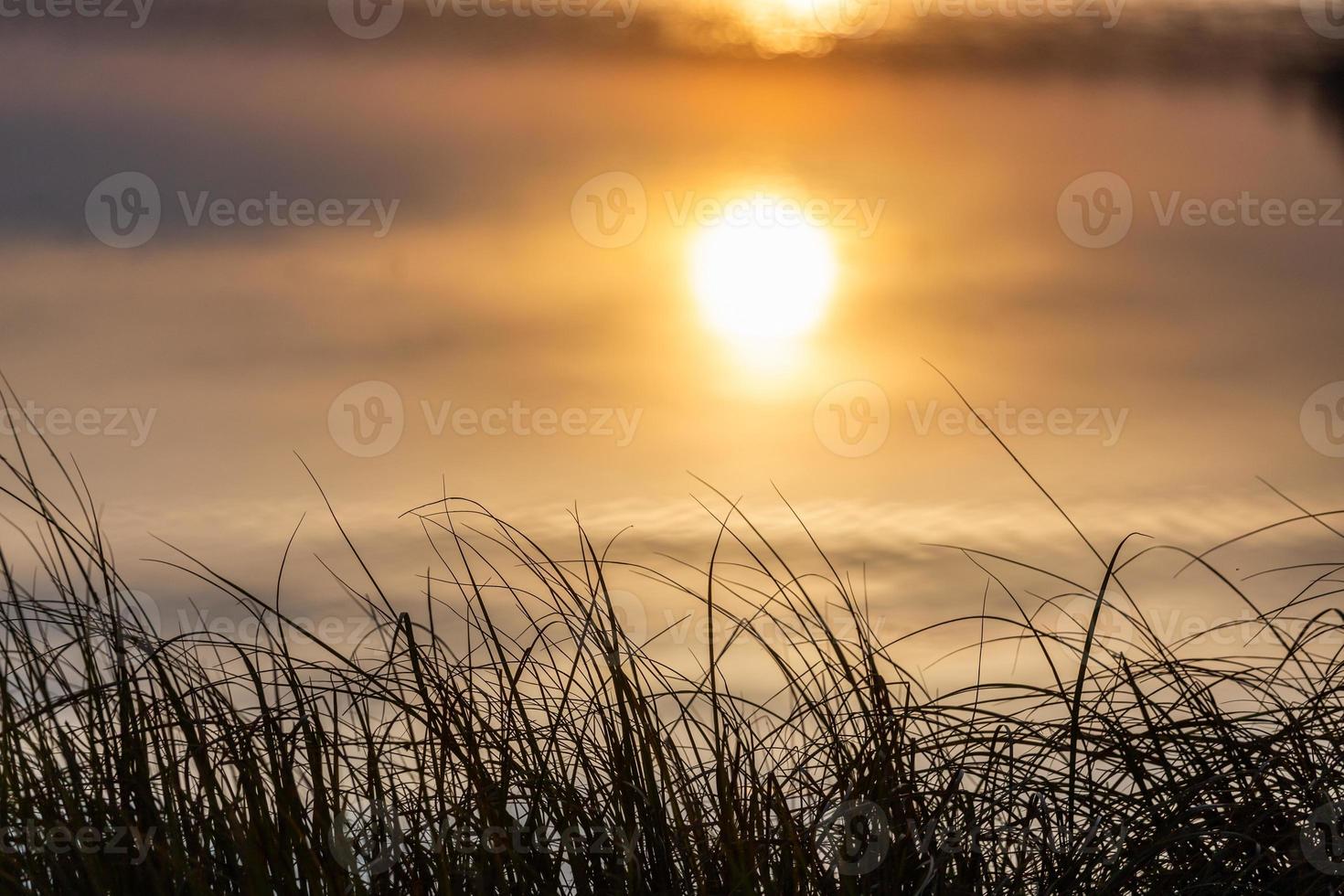 Die aufgehende Sonne spiegelt sich in ruhigem Wasser und langem, dünnem Gras im Vordergrund - minimalistisches abstraktes Bild mit selektivem Fokus und Unschärfe foto