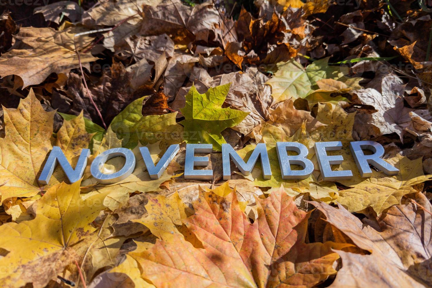 das wort november legte mit metallbuchstaben über gelben herbstlaub - nahaufnahme mit selektivem fokus foto