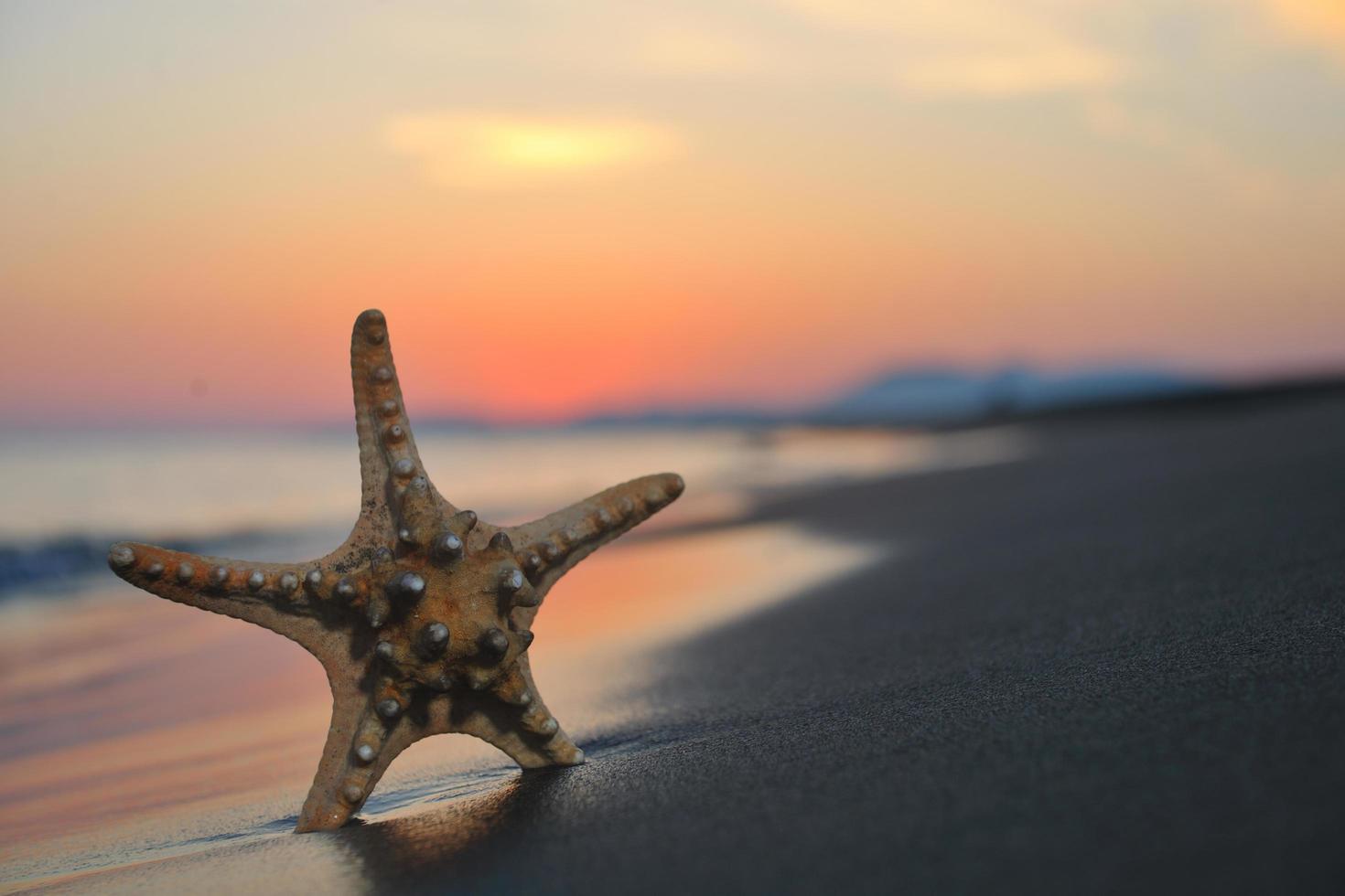 sommerstrand sonnenuntergang mit stern am strand foto