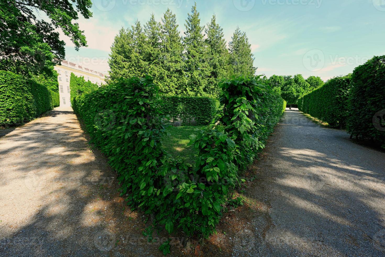 dreieckige büsche labyrinthe des schlosses schönbrunn in wien, österreich. foto