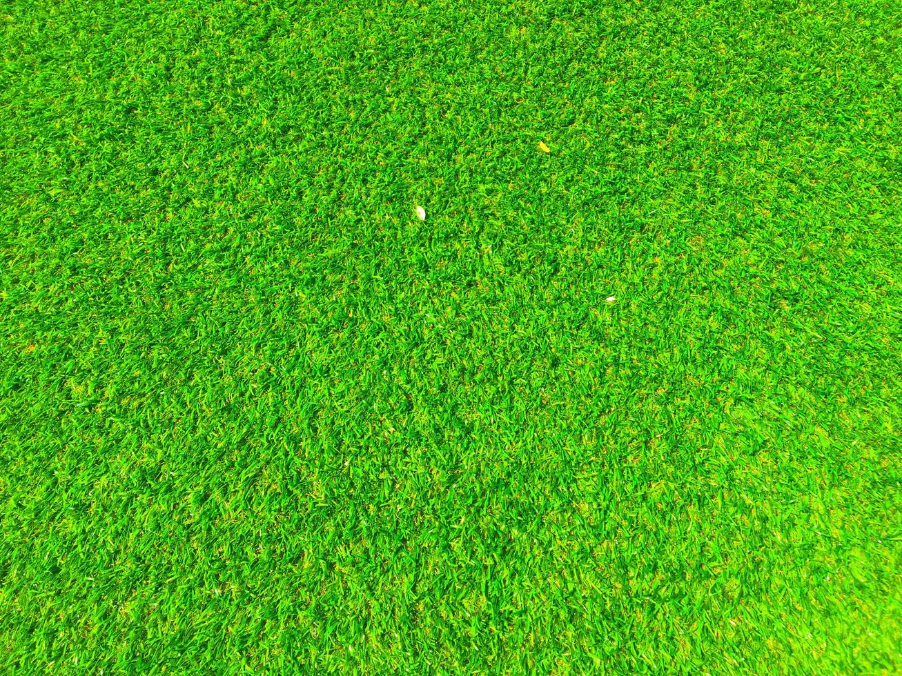 Draufsicht auf grünes Gras Textur Hintergrund. Gestaltungselement. foto