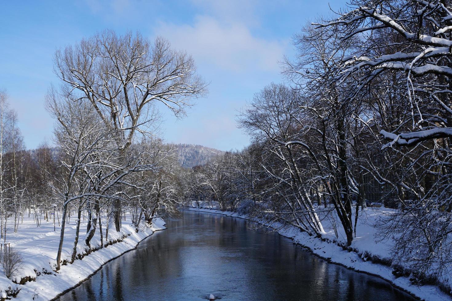 Donau in Tuttlingen foto