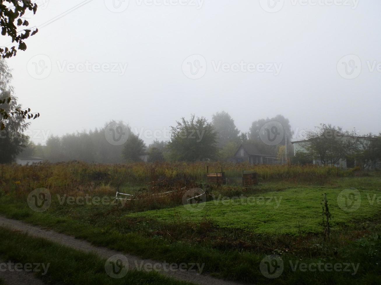 Herbstmorgennebel im Dorf foto