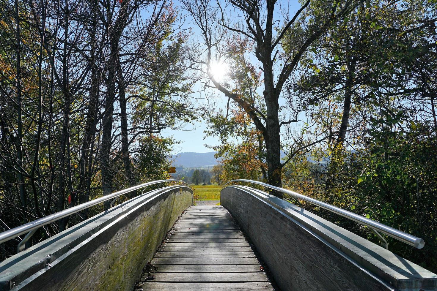 Holzbrücke am greifensee foto