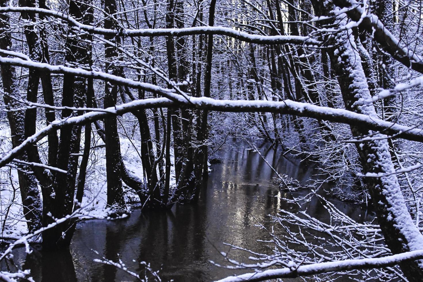 schneeweißer Waldfluss foto