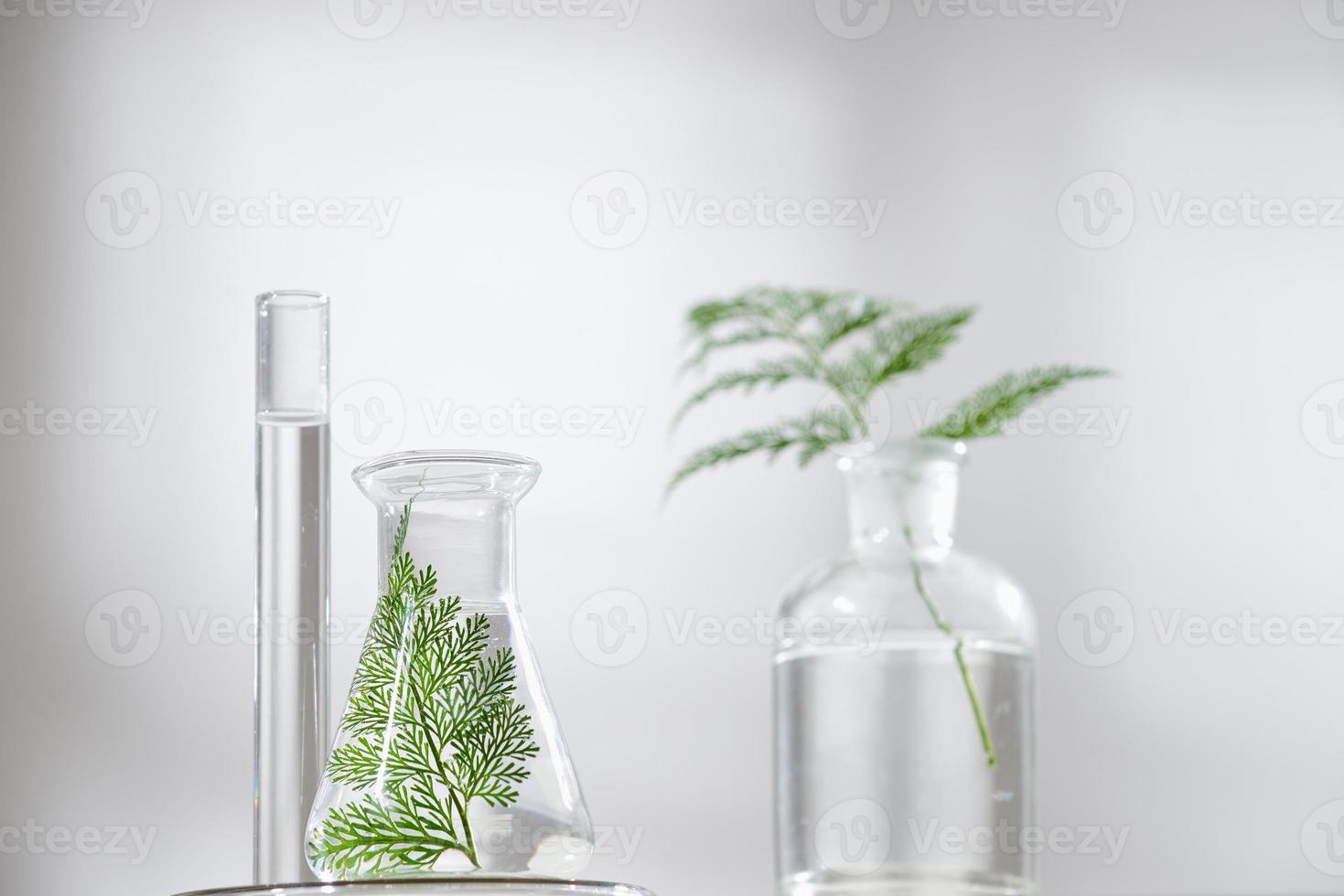 kosmetische Naturhautpflege und Aromatherapie mit ätherischen Ölen. Bio-Naturwissenschafts-Schönheitsprodukt. Kräuter-Alternativmedizin. Attrappe, Lehrmodell, Simulation. foto