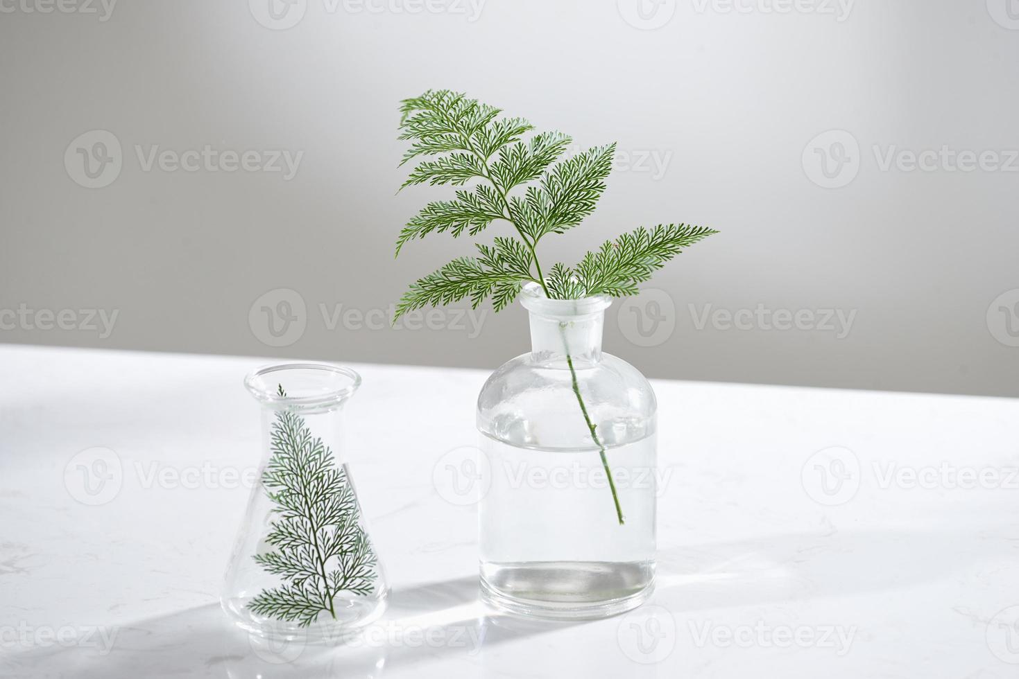 klares Wasser in Glaskolben und Fläschchen mit natürlichen grünen Blättern im Hintergrund des biotechnologischen Wissenschaftslabors foto