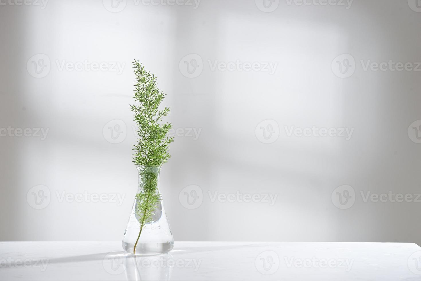 klares Wasser in Glaskolben und Fläschchen mit natürlichen grünen Blättern im Hintergrund des biotechnologischen Wissenschaftslabors foto