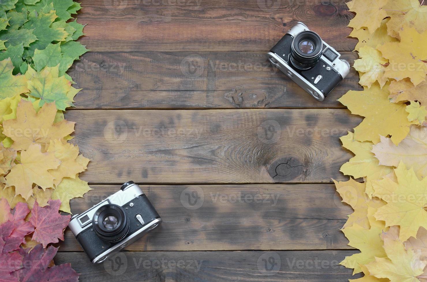 Zwei alte Kameras inmitten einer Reihe von vergilbten gefallenen Herbstblättern auf einer Hintergrundfläche aus natürlichen Holzbrettern von dunkelbrauner Farbe foto