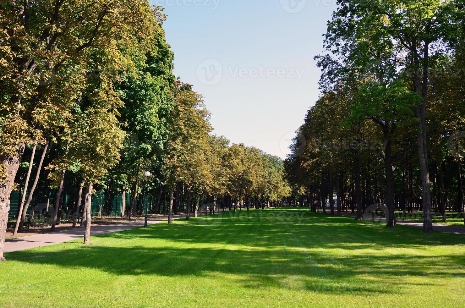 grüne und orangenbäume im schönen park. florale und natürliche Herbstlandschaft foto