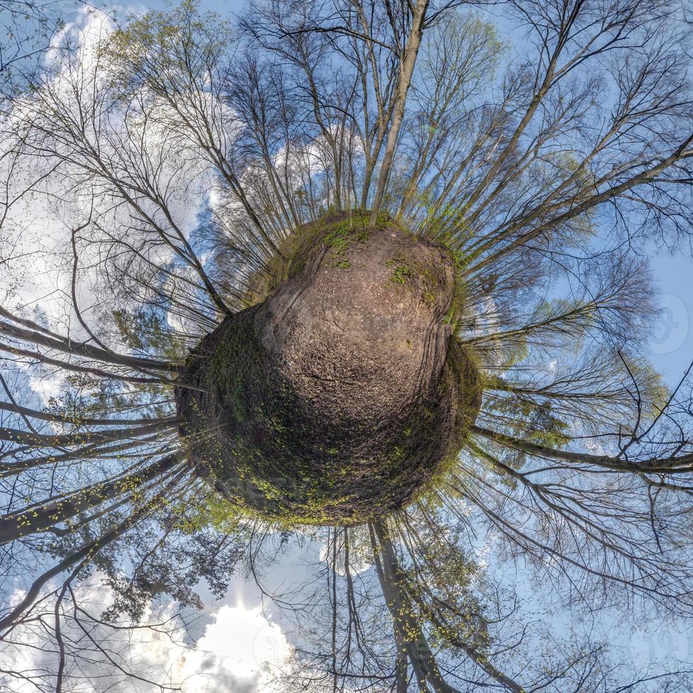 Herbst kleine Planetentransformation des sphärischen Panoramas 360 Grad. sphärische abstrakte Luftaufnahme im Wald mit ungeschickten Ästen. Krümmung des Raumes. foto