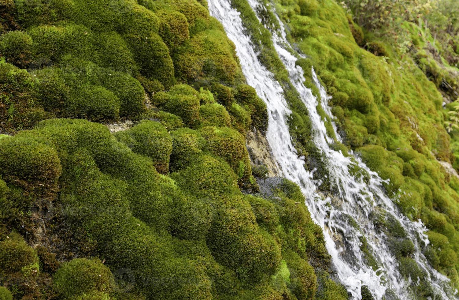 Wasserfall in der Natur foto