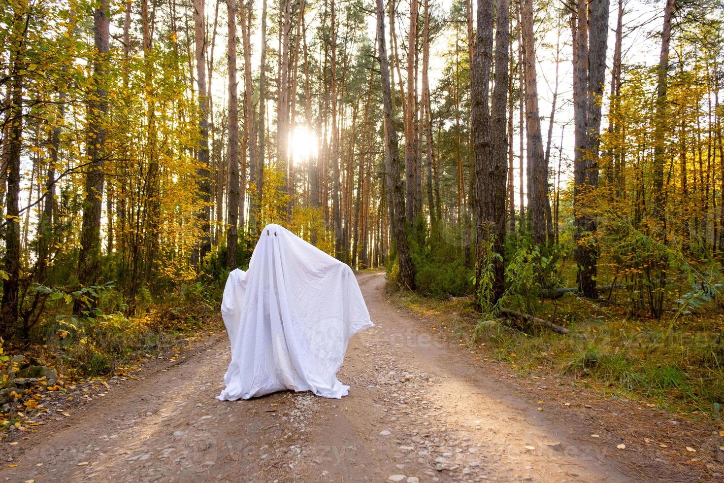 Ein Kind in Laken mit Augenausschnitt wie ein Geisterkostüm in einem Herbstwald erschreckt und erschreckt. ein nettes kleines lustiges Gespenst. Halloween Party foto