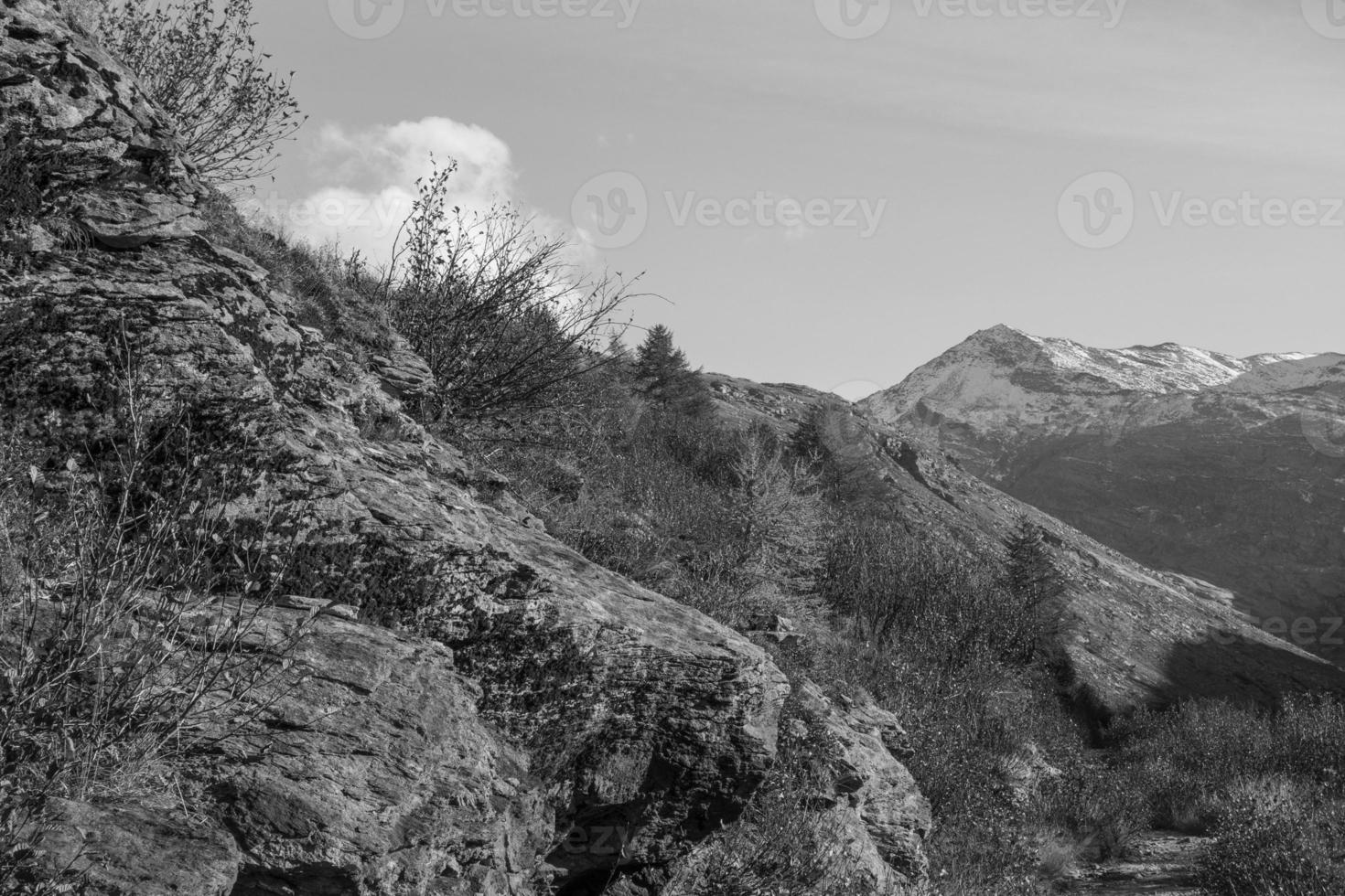 die schweizer alpen foto