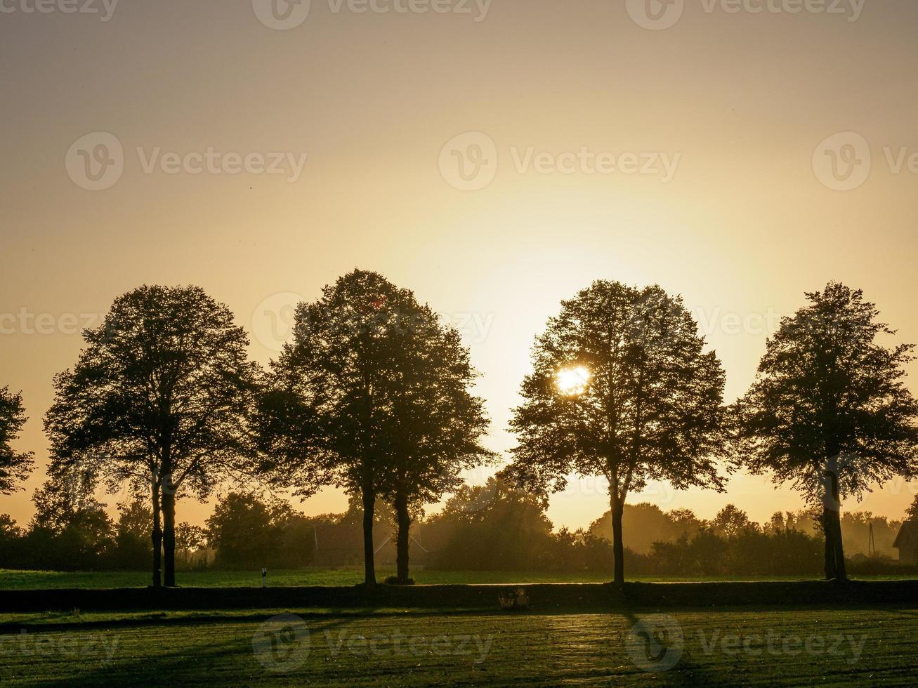 herbstzeit bei borken in westfalen foto