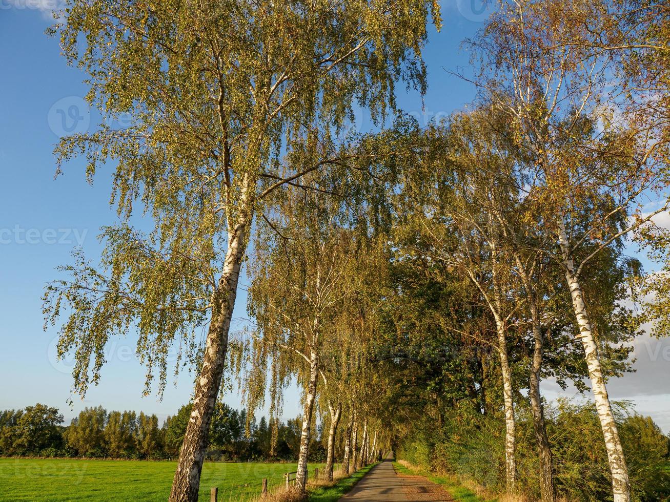 herbstzeit bei borken in westfalen foto