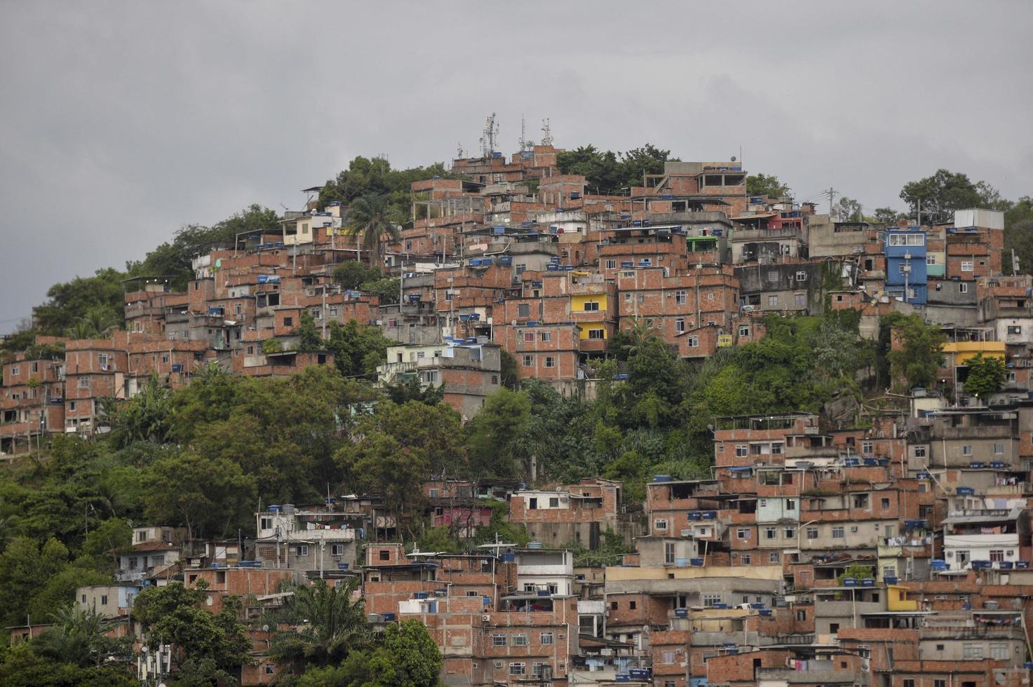 mangueira slum bei tag foto