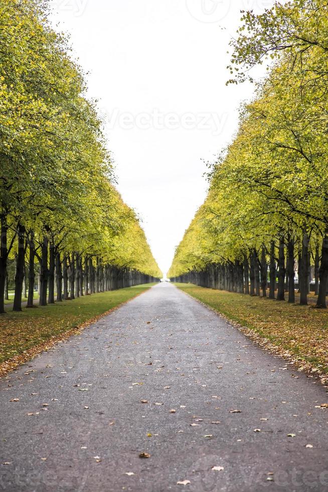 Detail der Herbstgasse foto