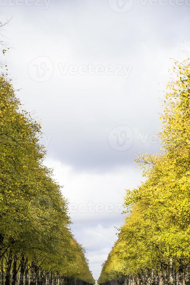 Detail der Herbstgasse foto