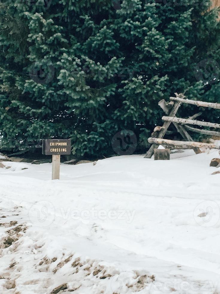 Straßenschild und Berge foto