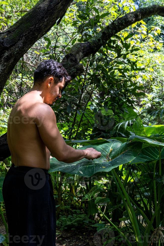 junger Mann, Yoga oder Reiki, im Wald sehr grüne Vegetation, in Mexiko, Guadalajara, Bosque Colomos, Hispanoamerikaner, foto